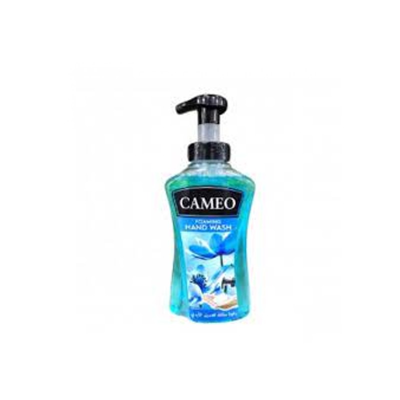 Cameo Foaming Hand Wash Aquatic 500 ml