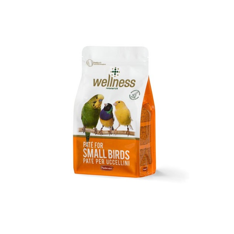 Wellness Baby Bird Food 600g