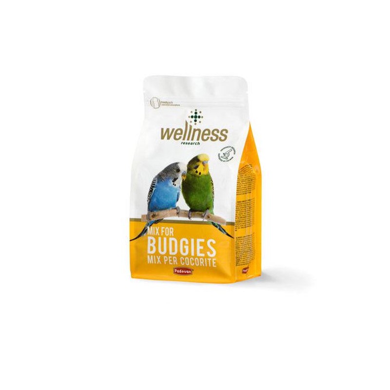 Wellness Parrot Food 1 Kg