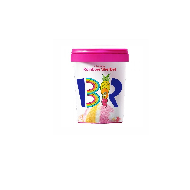 Baskin Robbins Vanilla Ice Cream 500 ml