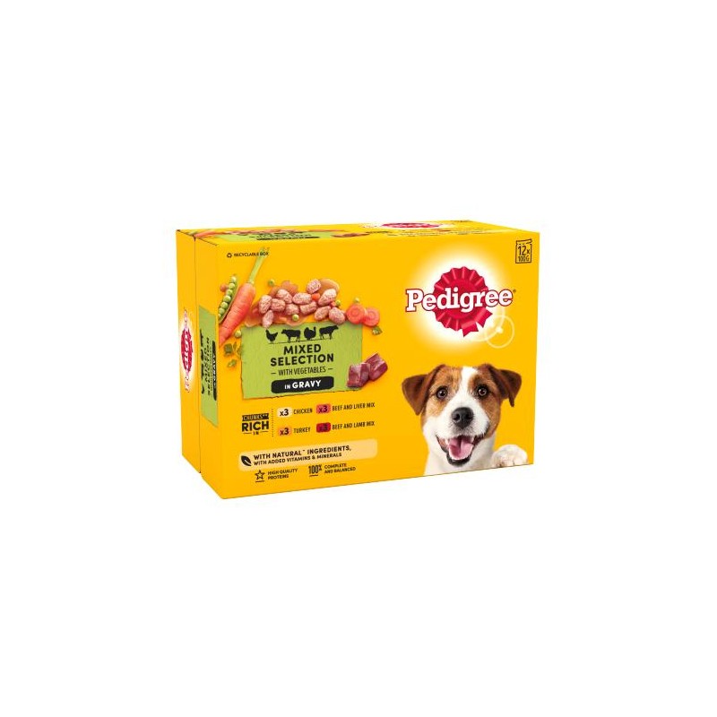 Pedigree Bio Protection Dog Food Meat Sauce 100g *12