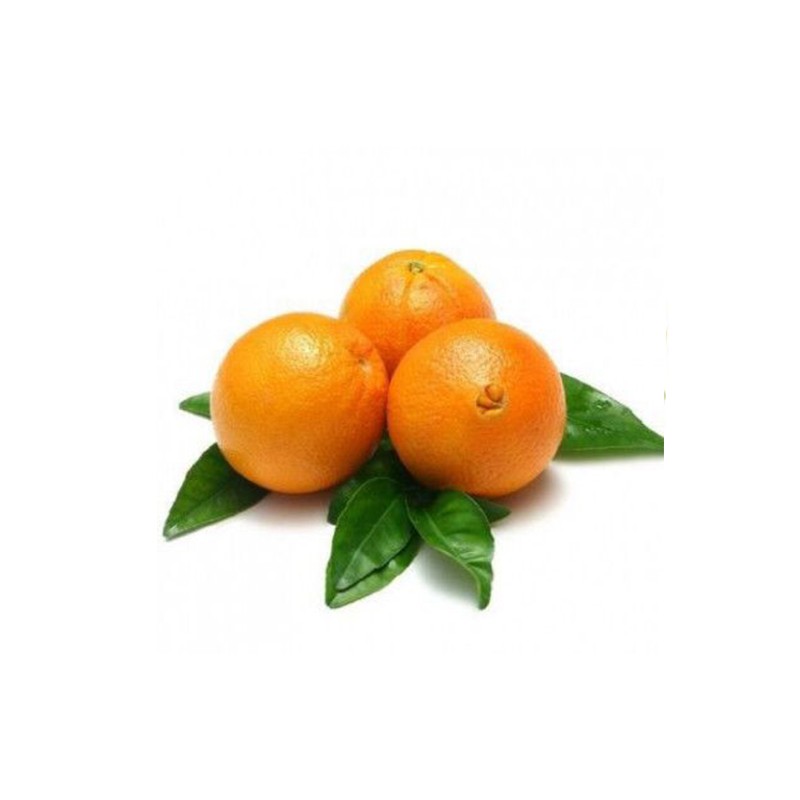 Abu Nara Orange