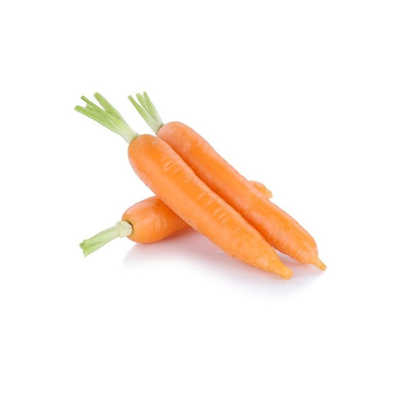 Excavated Carrots