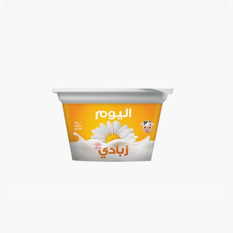 Alyoum yogurt Zabadi Full fat, 200g